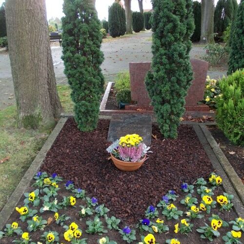 Frisch gepflegtes Grab mit Blumen