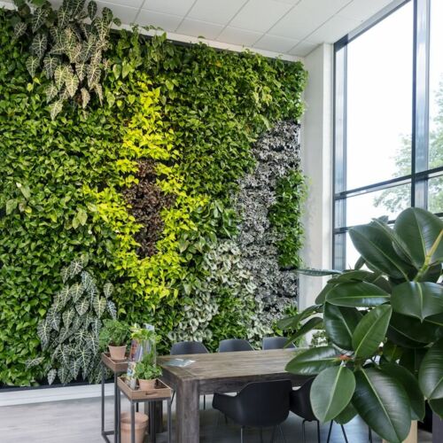 Grüne Wand in einem Büro